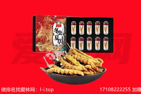 哈尔滨木兰县回收虫草.jpg